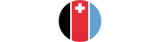 Rotzinger Group