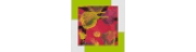 STIFTUNG BALM